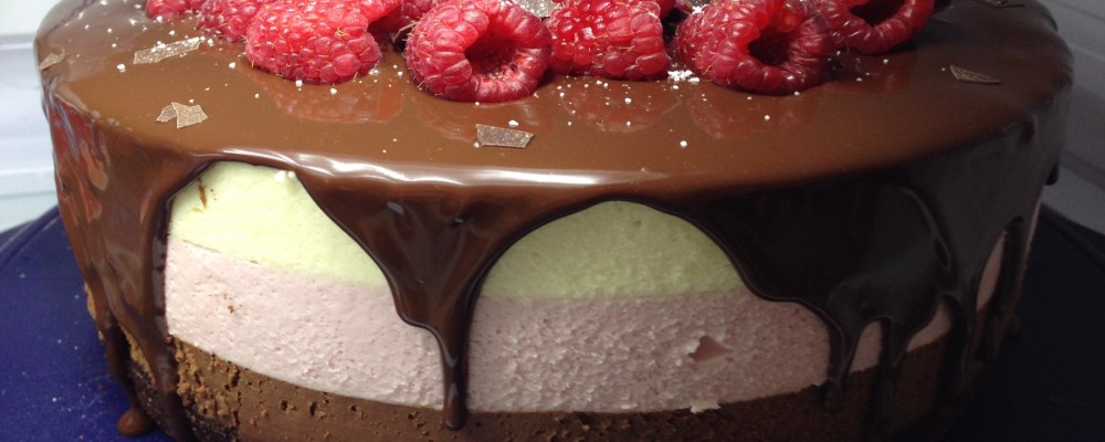 cropped-schoko-himbeer-mousse-torte.jpg