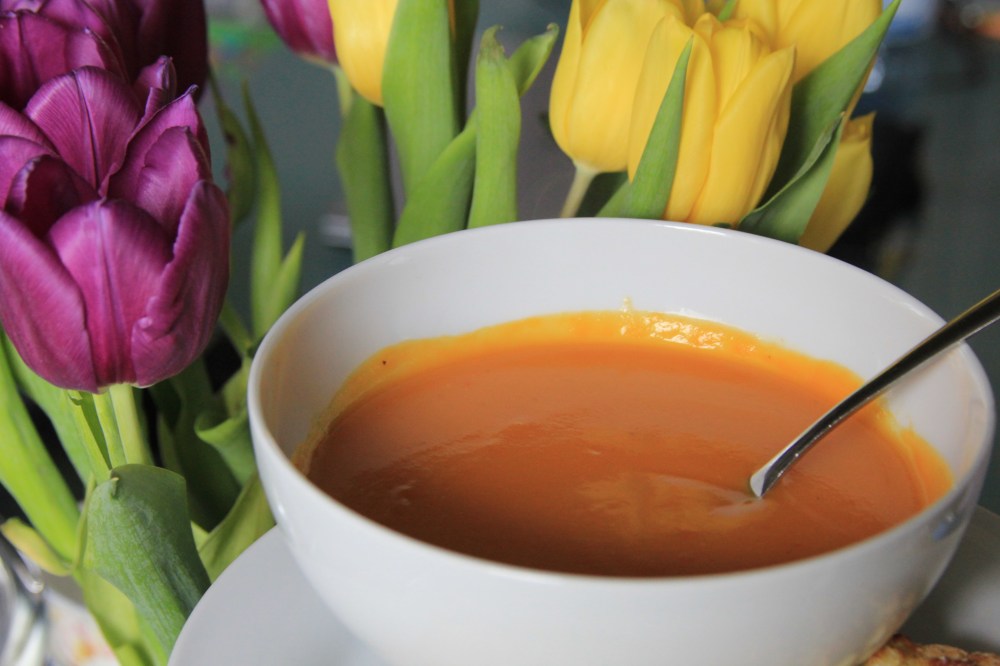 Karotten Chillisuppe  (6)