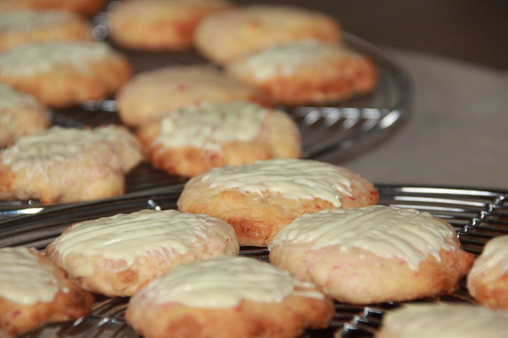 Kokosflockern Teil 2 (15)