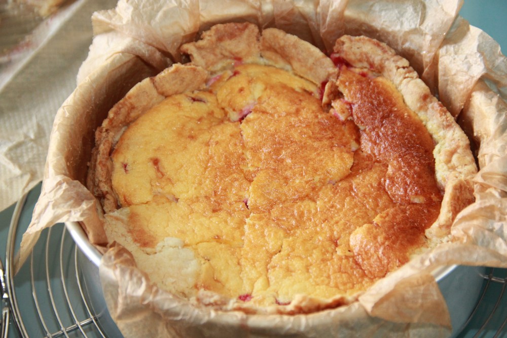 Johannisbeer Käsekuchen (2).JPG