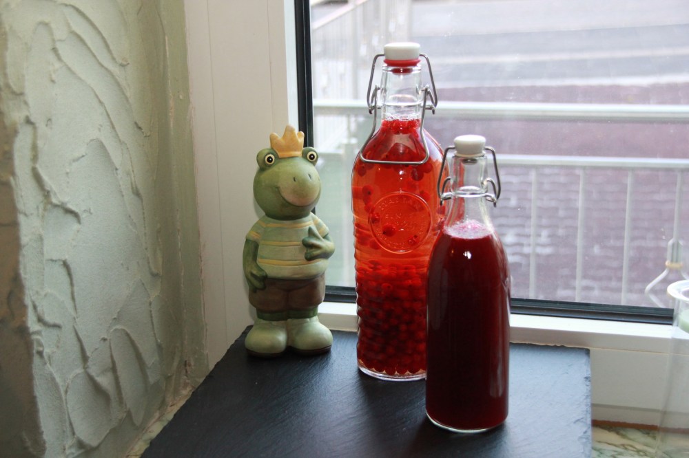 Johannisbeer Marathon (13)