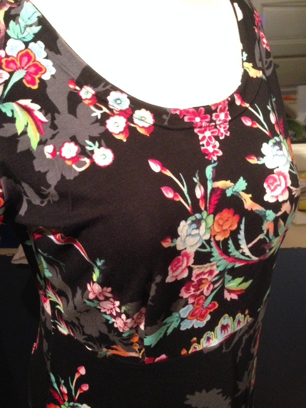 Kleid nach Rosa P (5)