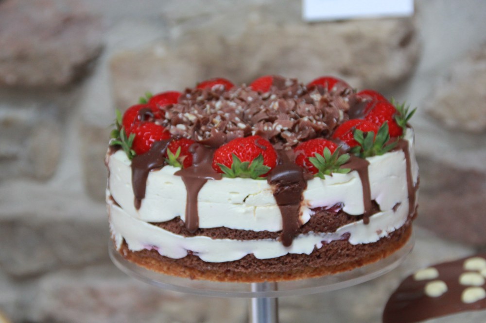 Nicole & Tommy Hochzeit (10)