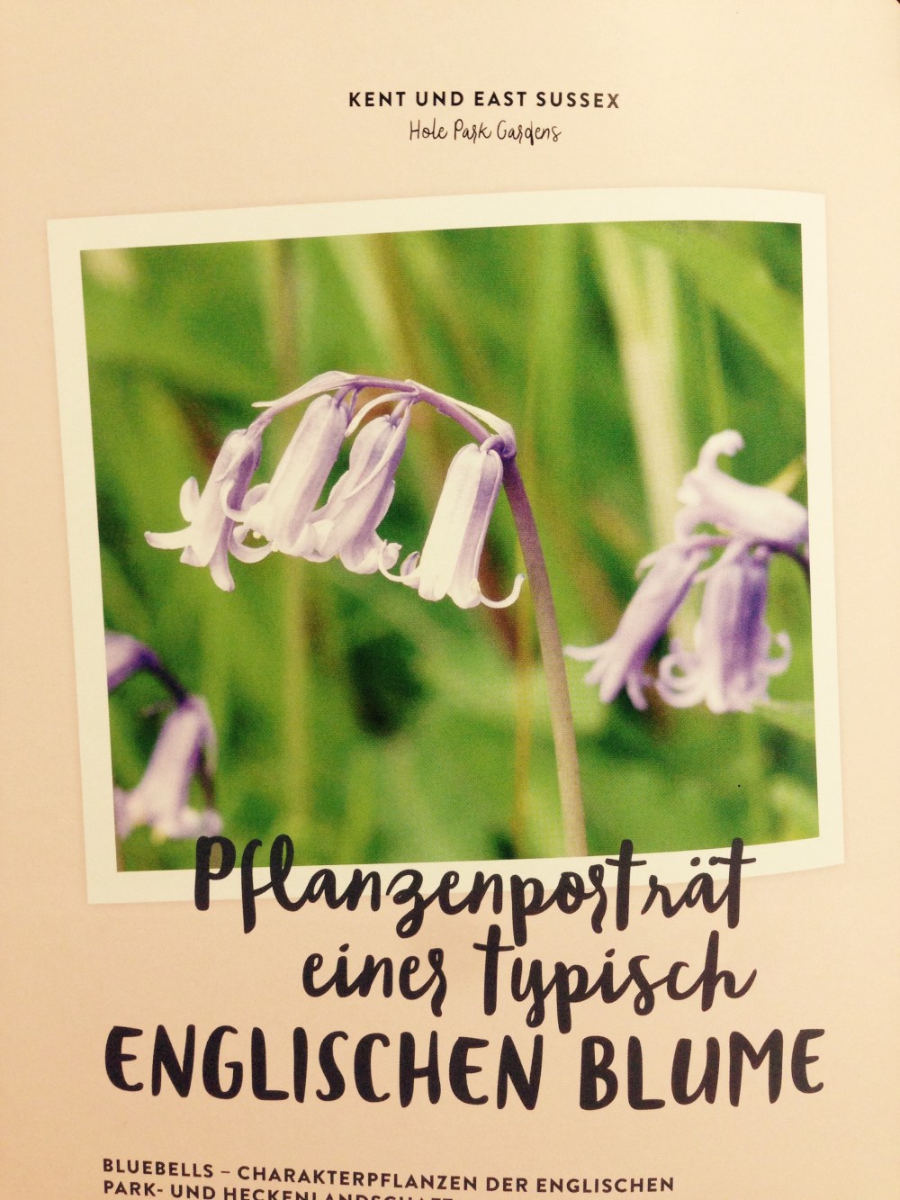 romantische gartenreisen in england (8)