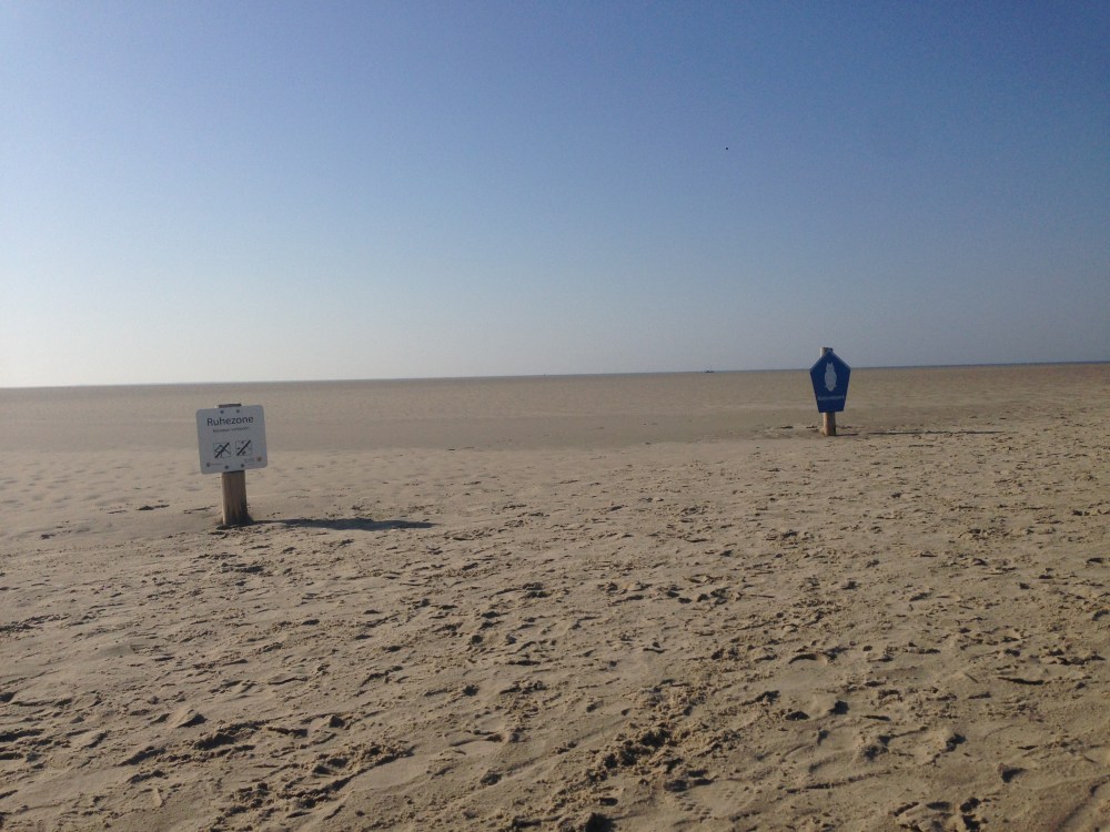 Seehundbank Borkum