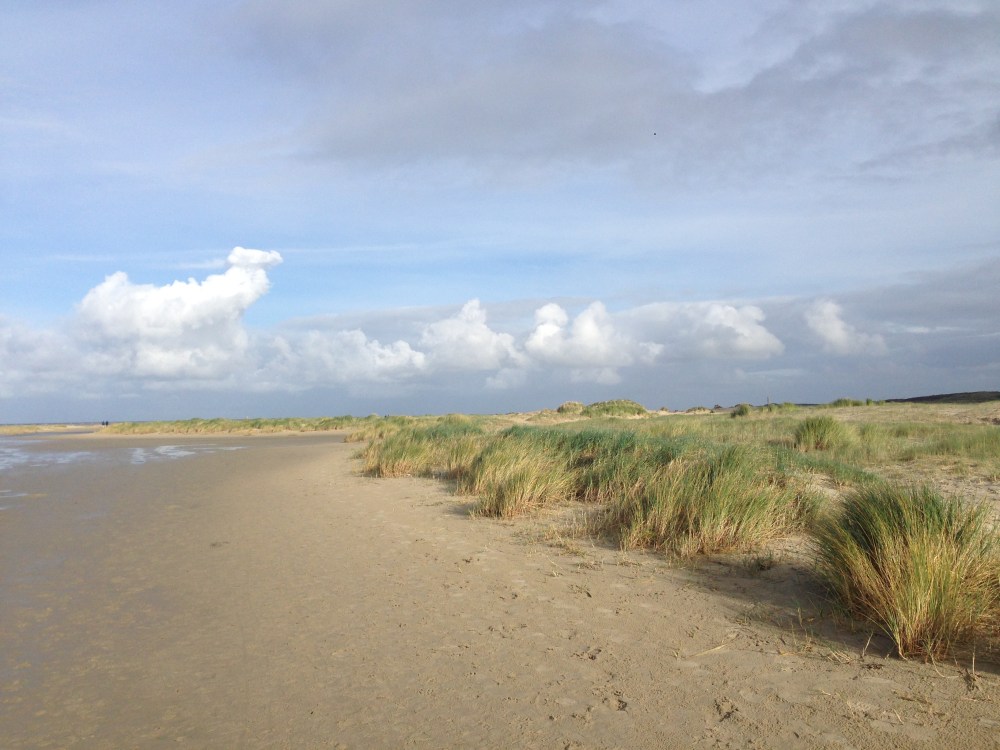 Borkum Dünen